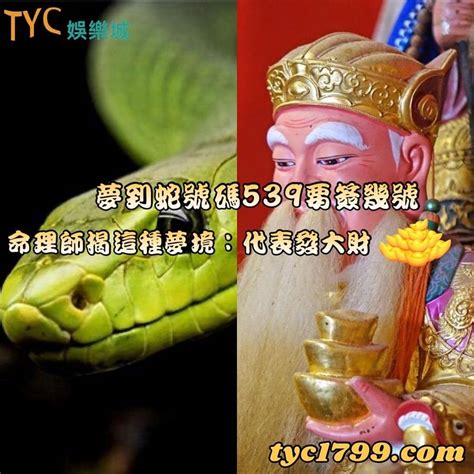 見蛇發財|夢到蛇等於發大財？這可不一定 專家曝另一層含意 